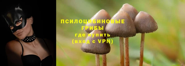 дмт Алзамай